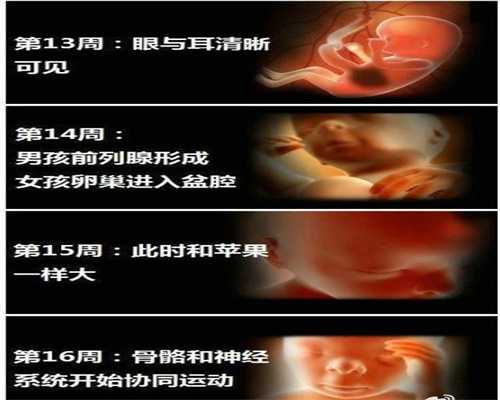 深圳分享我的代孕经历_深圳代孕的成功概率多少_孕妇刮痧了怎么办